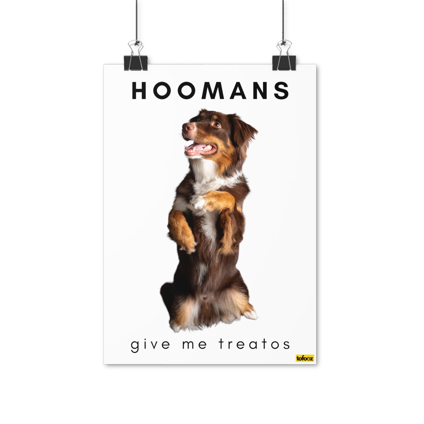 Hoomans Treatos Red Tri Aussie Poster - Various Sizes