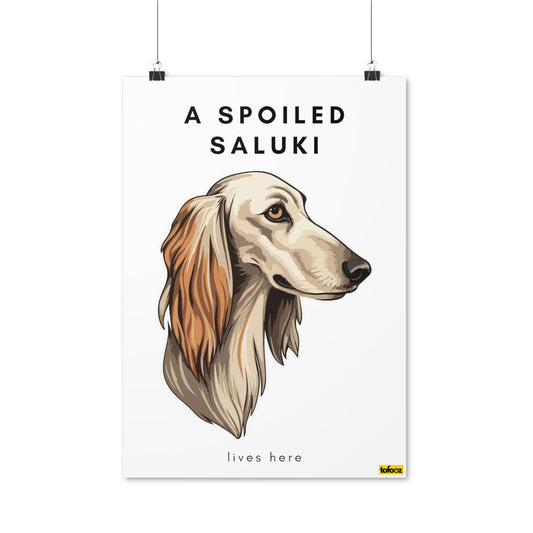 A Spoiled Saluki Lives Here Graphic Poster - Various Sizes