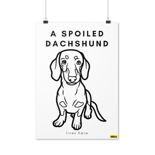 A Spoiled Dachshund Lives Here Poster - Various Sizes