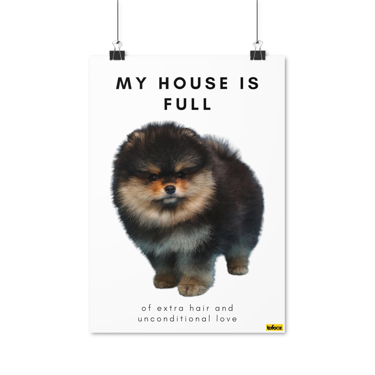 My House Is Full Black Tan Pomeranian Poster - Various Sizes