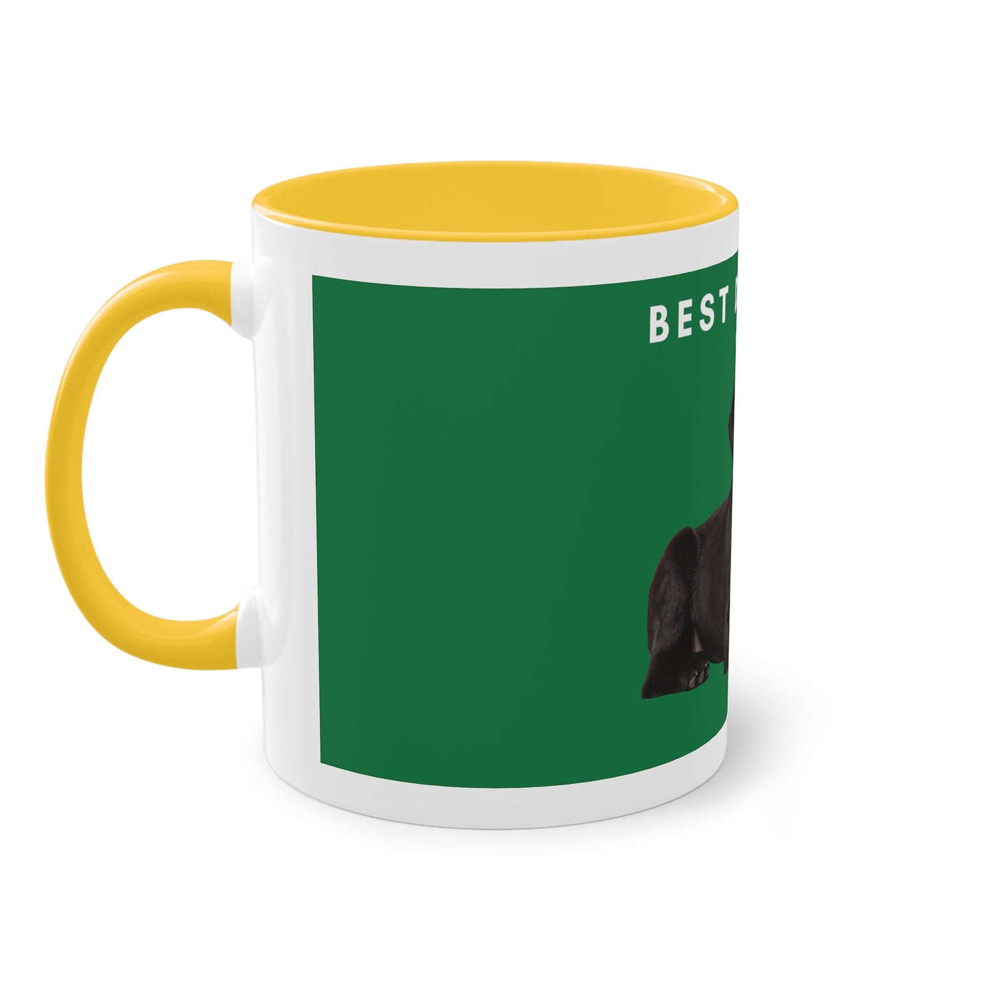 Best Dog Dad Black Lab Two-Tone Coffee Mug, 325ml - Green