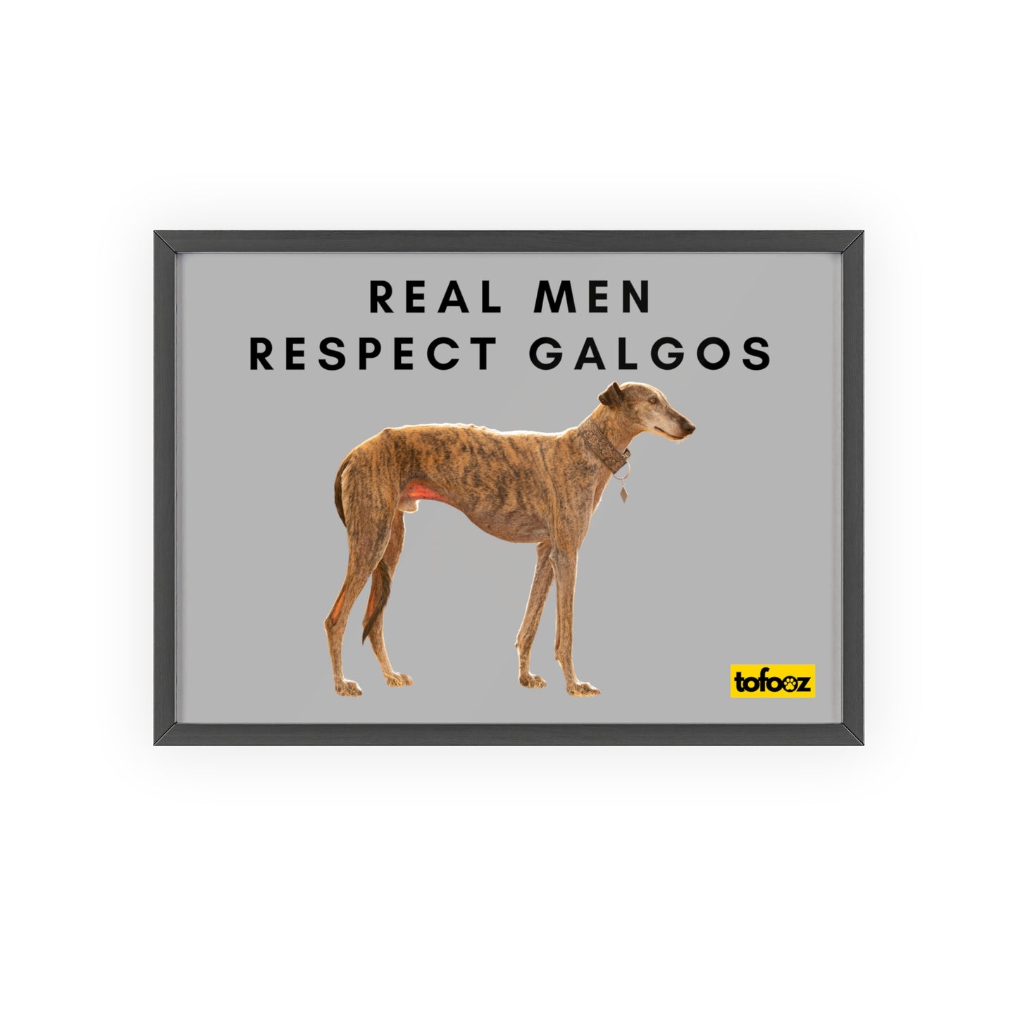 Real Men Respect Galgos Brindle Poster with Wooden Frame, Horizontal - Various Sizes