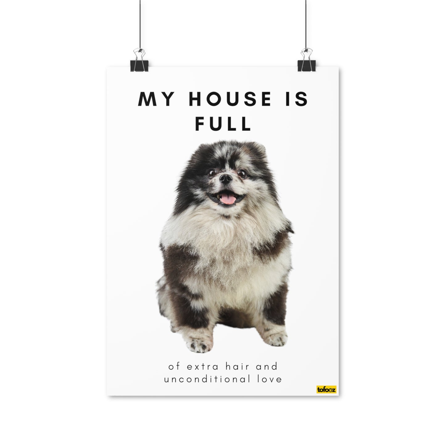 My House Is Full Merle Pomeranian Poster - Various Sizes