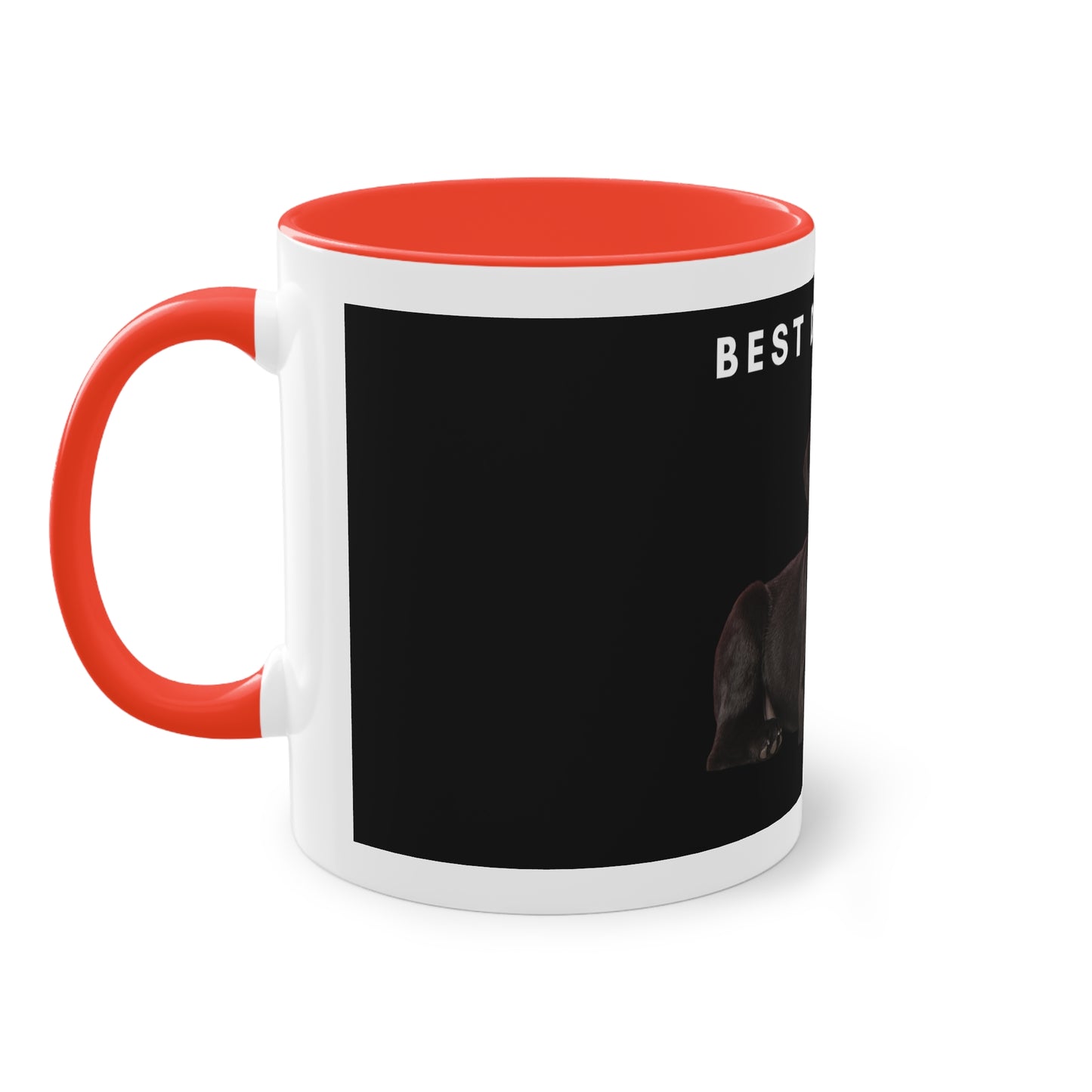 Best Dog Dad Black Lab Two-Tone Coffee Mug, 325ml - Black