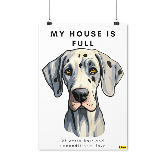 My House Is Full White Great Dane Poster - Various Sizes