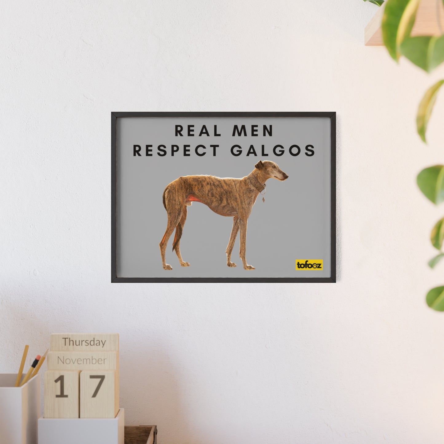 Real Men Respect Galgos Brindle Poster with Wooden Frame, Horizontal - Various Sizes