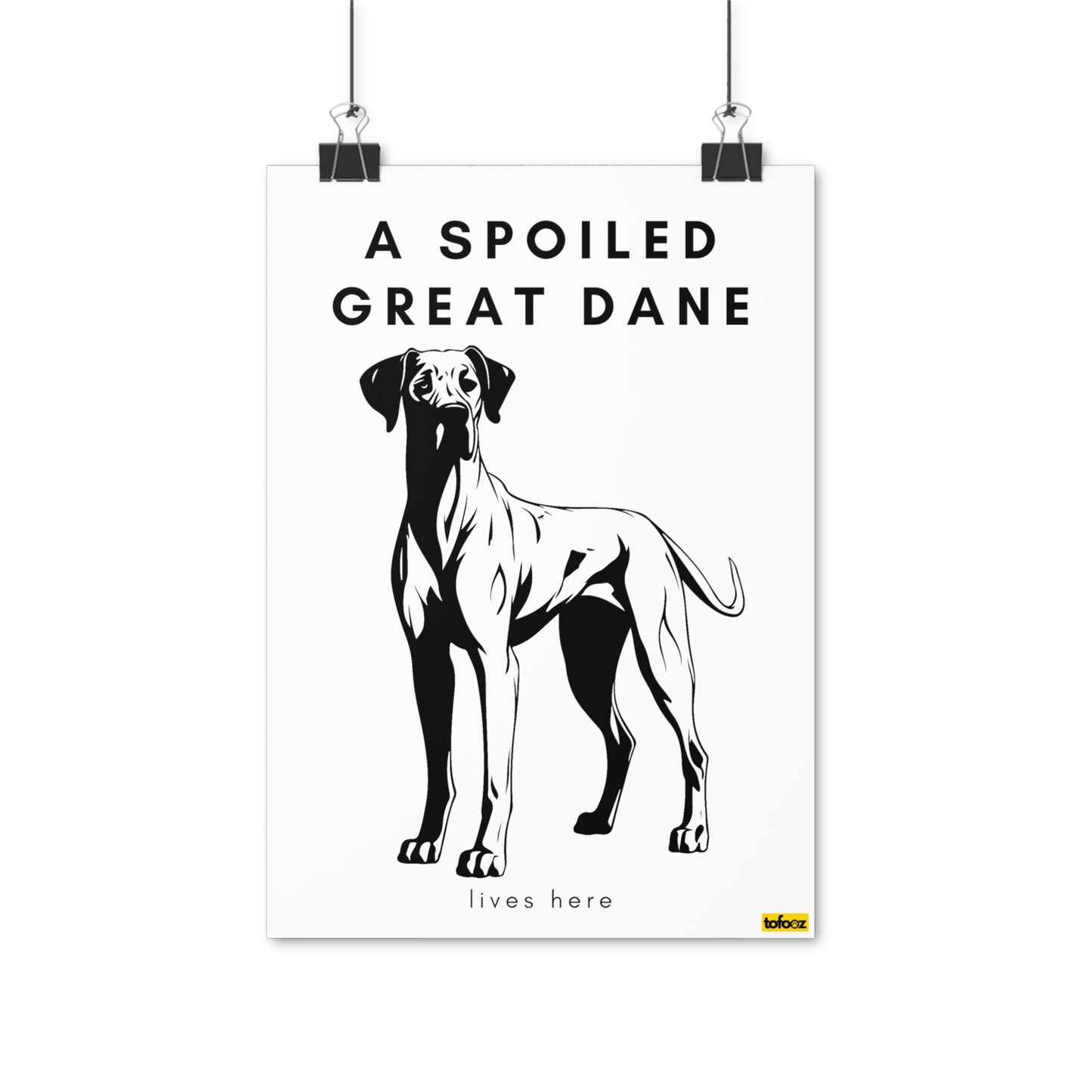 A Spoiled Great Dane Lives Here Right Facing Poster - Various Sizes