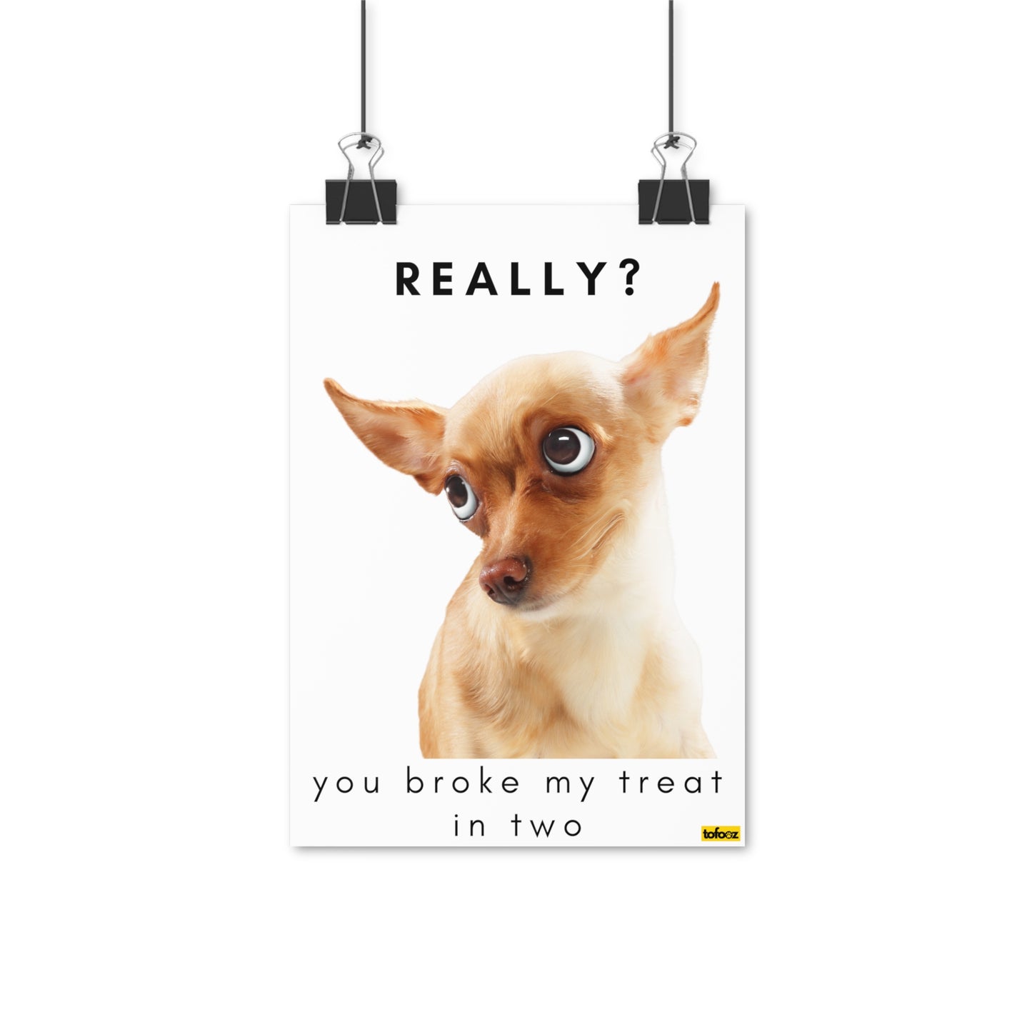 Really, Broke My Treat In Two Chihuahua Poster - Various Sizes