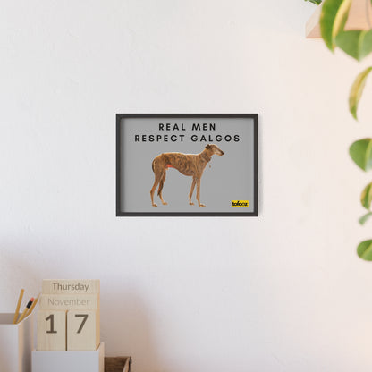 Real Men Respect Galgos Brindle Poster with Wooden Frame, Horizontal - Various Sizes