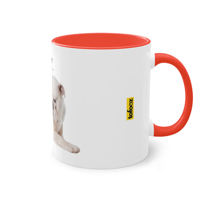 Hurry I Need Caffeine English Bulldog Two-Tone Coffee Mug, 325ml - White