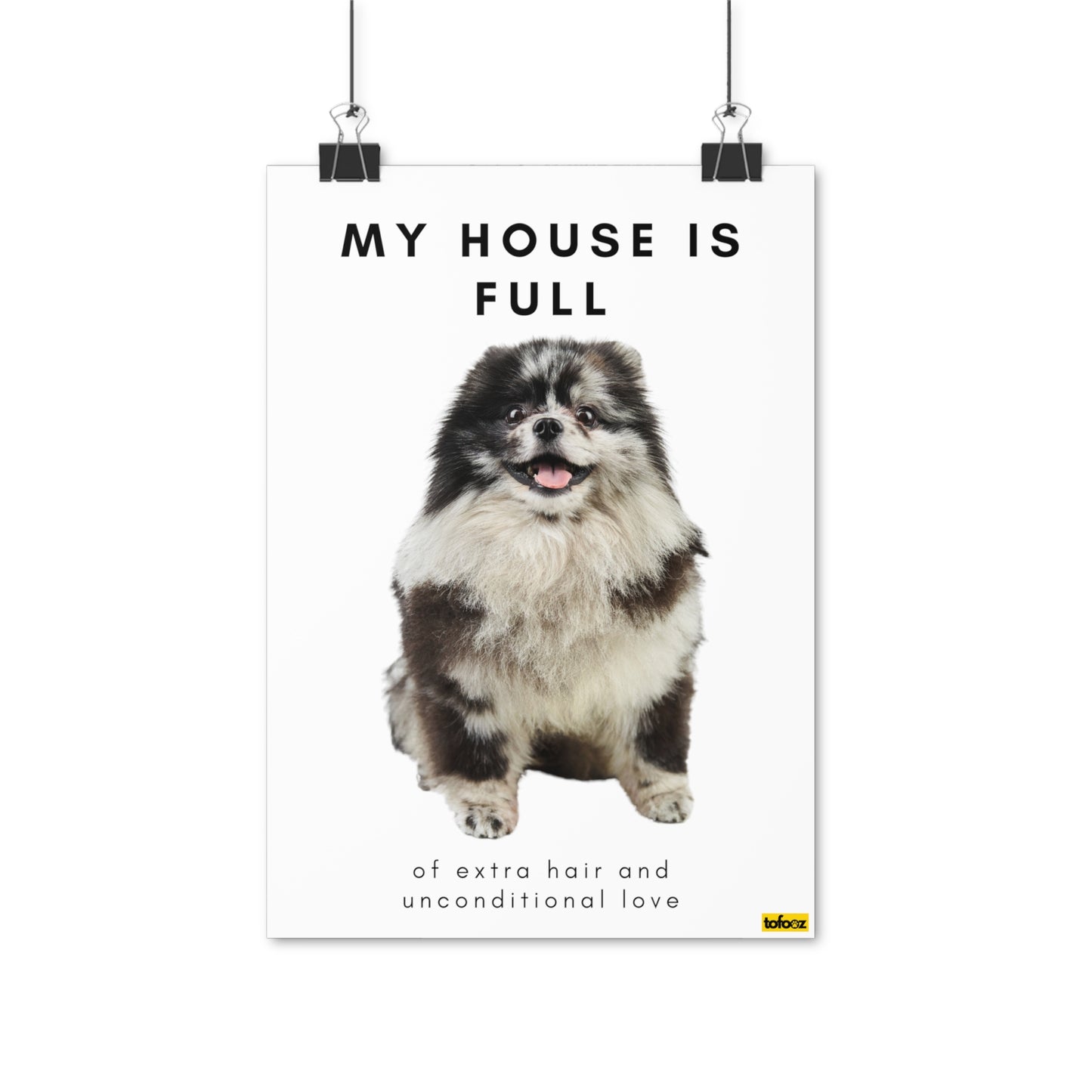 My House Is Full Merle Pomeranian Poster - Various Sizes