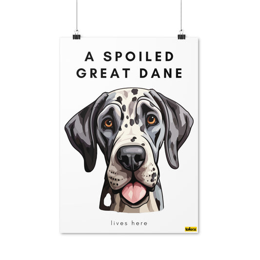 A Spoiled Great Dane Lives Here Graphic Poster - Various Sizes