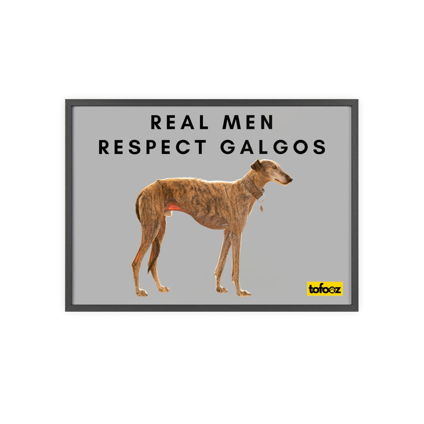 Real Men Respect Galgos Brindle Poster with Wooden Frame, Horizontal - Various Sizes