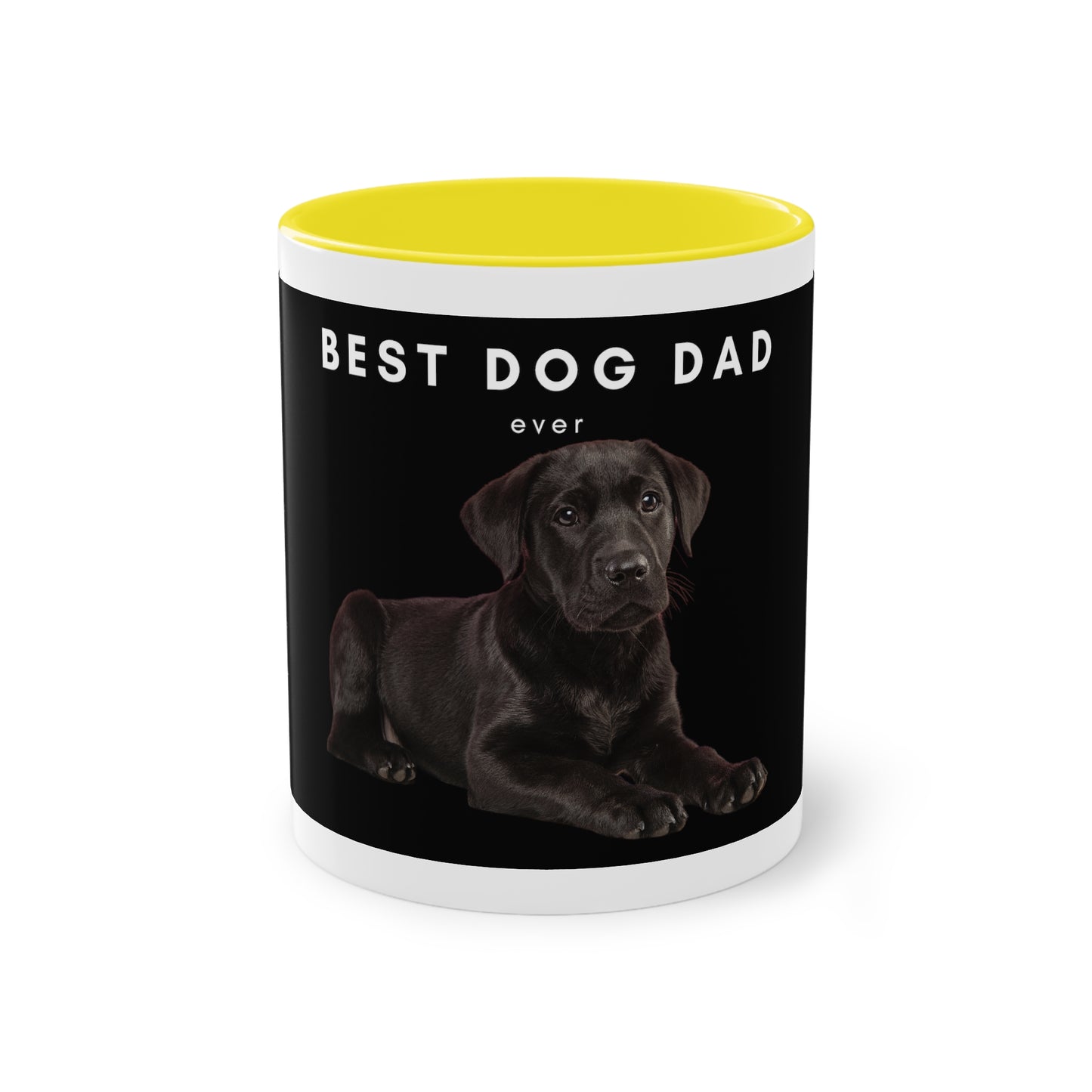 Best Dog Dad Black Lab Two-Tone Coffee Mug, 325ml - Black