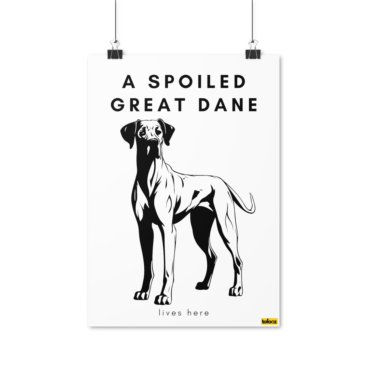 A Spoiled Great Dane Lives Here Right Facing Poster - Various Sizes