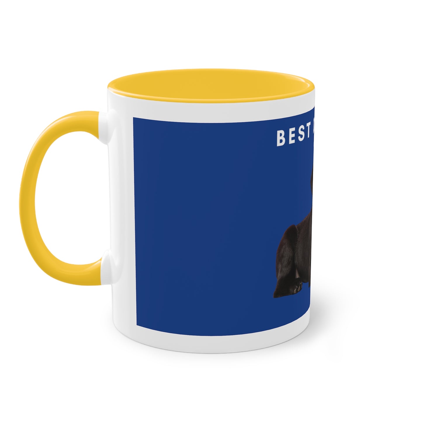 Best Dog Dad Black Lab Two-Tone Coffee Mug, 325ml - Blue